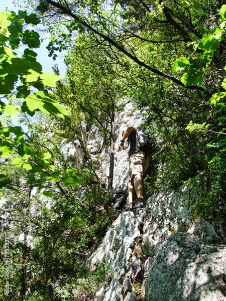 Obraz auf dem unwegsamen kletterpfad zum grund der gorges de la nesque in der nähe des mont ventoux, provence, frankreich