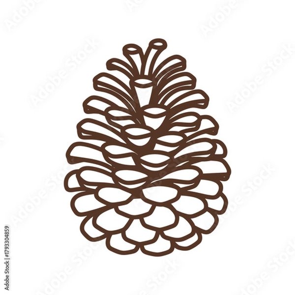 Fototapeta Brown Pine Cone Illustration Isolated on White Background
