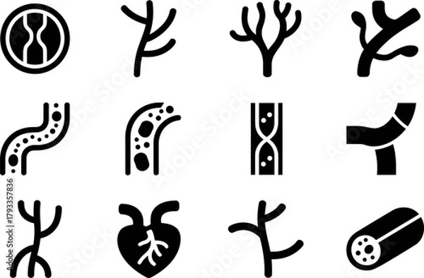 Fototapeta Set of vector icons representing blood vessels and human heart