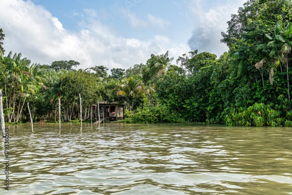 Fototapeta River boat tour on the Guama River at Belem do Para, a city on the north area of Brazil.