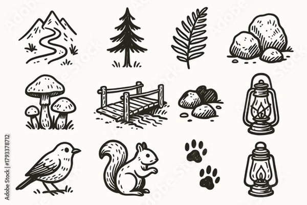Fototapeta Wooden rocks leaf bird mushrooms icon squirrel icons mountain vector path forest