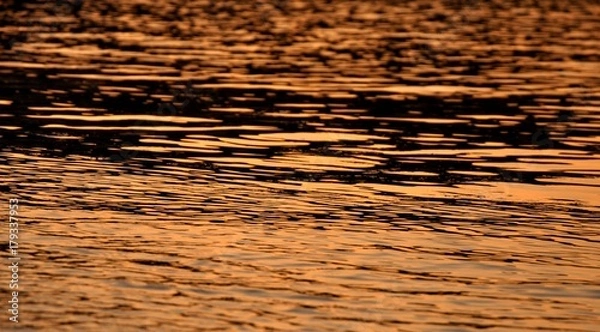 Fototapeta reflection