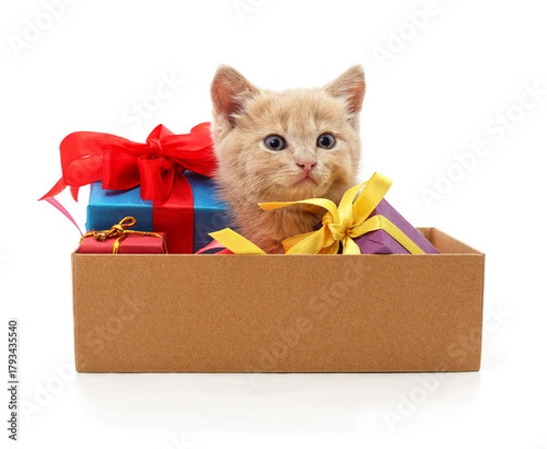 Obraz Cute ginger kitten sitting in gift box with colorful presents isolated on white background.