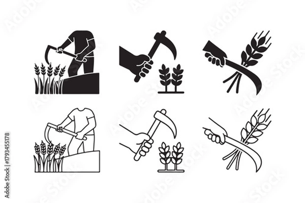 Obraz Crop Harvesting Vector Set Outline and Silhouette Design