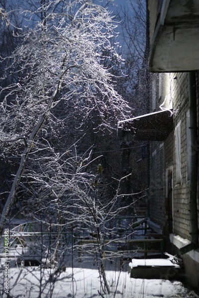 Obraz winter in the forest