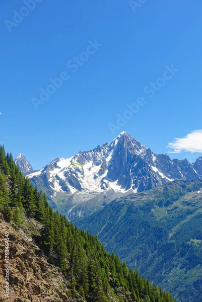 Obraz Among the Forest of the French Alps in the Summer