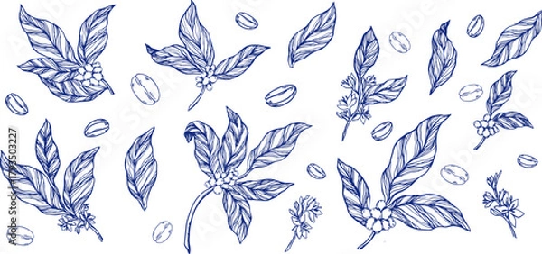 Fototapeta Elegant vector illustration of coffee plant with leaves, flowers, and berries in classic toile de jouy style. Perfect for coffee shop, packaging, branding, fabric, or wallpaper pattern, clipart.