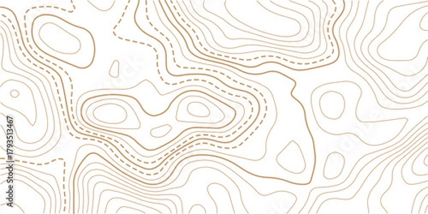 Obraz Abstract topo contour map on white background, Topographic map Topographic contour lines map seamless pattern.  Design materials. Print image, Abstract bacground.
