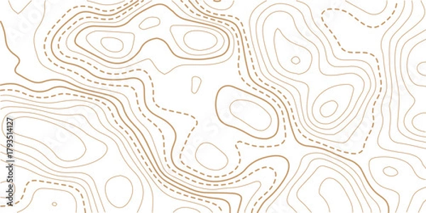 Obraz Abstract topo contour map on white background, Topographic map Topographic contour lines map seamless pattern.  Design materials. Print image, Abstract bacground.
