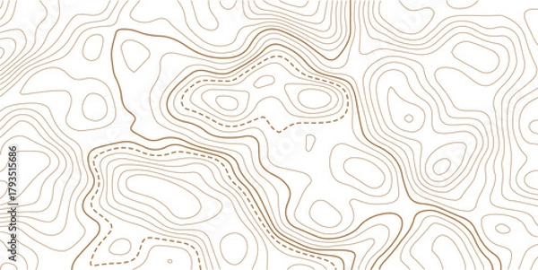 Obraz Topographic gold luxury map background. Geographic abstract pattern. The topo contour or wallpaper. The concept of a conditional geography scheme and contour line map image.