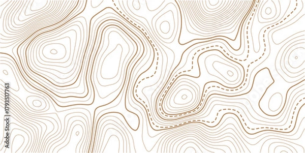 Obraz Golden line art background vector. Mountain topographic terrain map background with gold lines texture.topo map technology modern design white background. Vector Illustration. 