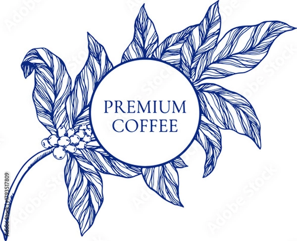 Fototapeta Elegant vector frame coffee plant branches, leaves, flowers, and berries in classic toile de jouy style. Perfect template for coffee packaging, label, branding, cafe menu, and premium product design.