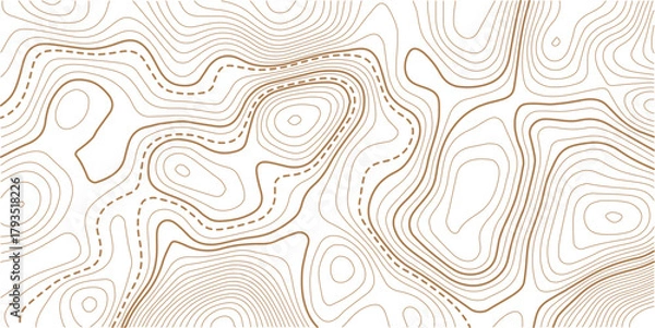 Obraz Abstract Topographic Pattern contour line map. Luxury gold abstract line art on transparent background image. Topography background. Vector banner. Topographic map ,abstract height lines .