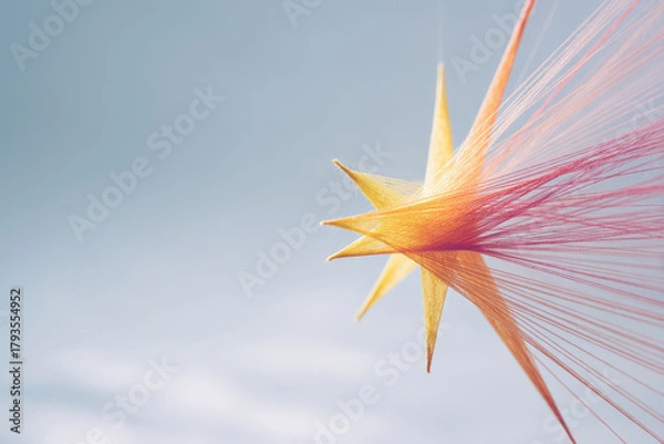 Fototapeta fantastical star made of colorful threads positioned against clean pastelcolored canvas