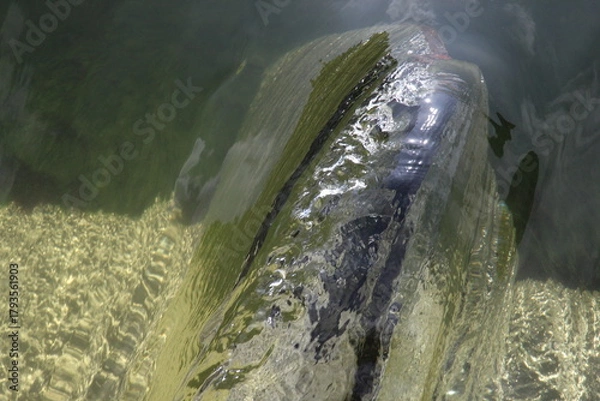 Obraz Wasserstrudel am Wehr