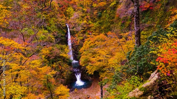 Obraz 日本、中国地方、鳥取県、大山、伯耆富士、大山滝、絶景