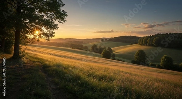 Fototapeta Sunset Over Scenic Meadow with Trees
