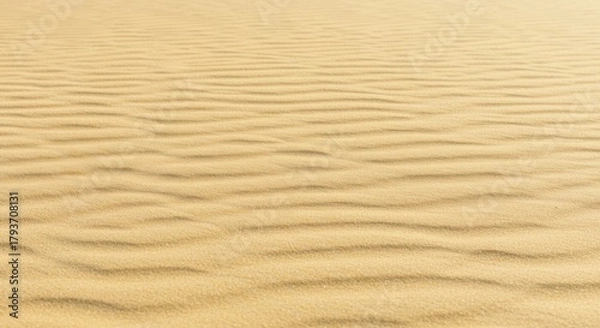 Fototapeta Desert sand dunes with rippled patterns