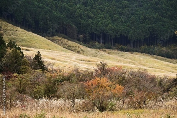 Obraz A view of Hakone in late autumn. Hakone, Kanagawa Prefecture, Japan. Many tourists visit Hakone every year to see the autumn leaves.