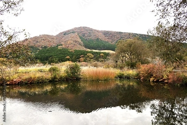 Fototapeta A view of Hakone in late autumn. Hakone, Kanagawa Prefecture, Japan. Many tourists visit Hakone every year to see the autumn leaves.