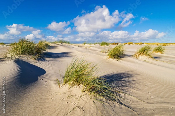 Fototapeta Landschaft in den Dünen auf der Insel Amrum