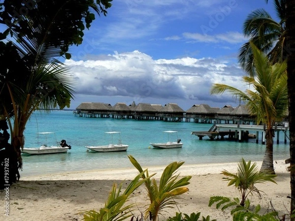Obraz Moorea