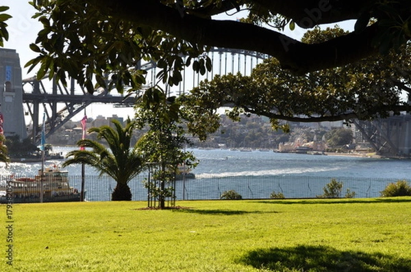 Fototapeta Sydney harbor