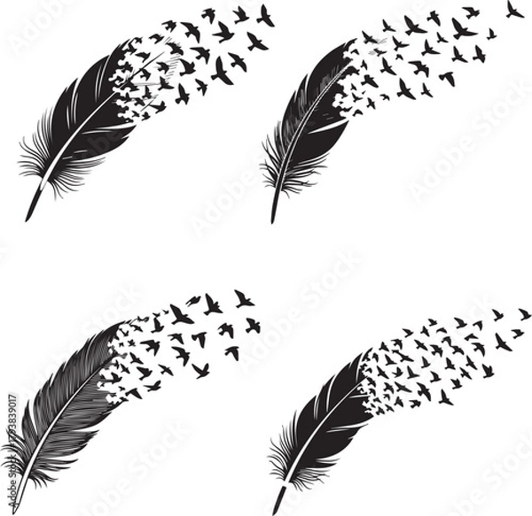 Obraz Feather to Birds Silhouettes – Minimalist Black & White Vector Icons of Transformation and Creative Liberation