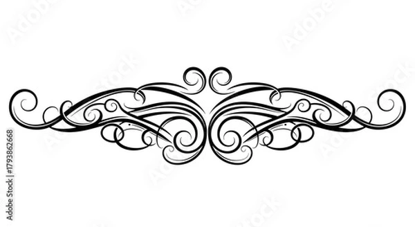 Fototapeta Elegant black ornamental flourish with swirls and curves.