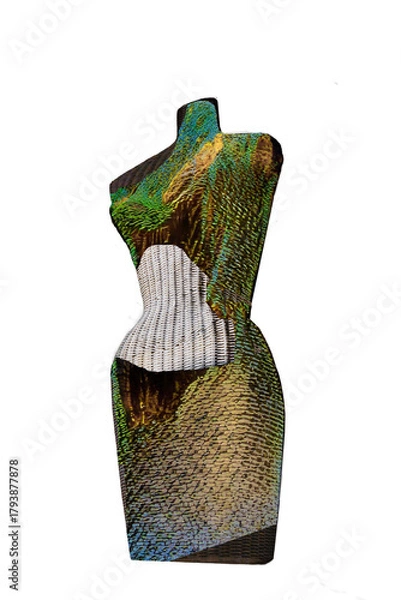 Fototapeta Dress design and fashion sense decisions are made with a model woman in  mind. See mannequin curves and  material suggestions.