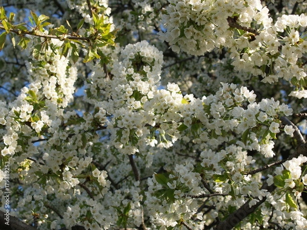 Obraz OLYMPUS DIGITAL CAMERA