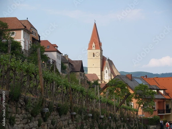 Obraz OLYMPUS DIGITAL CAMERA