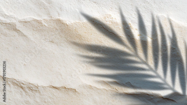 Obraz Minimal abstract beach scene with white sand palm leaf shadow textured surface soft sunlight natural background summer calm peaceful relaxing tropical