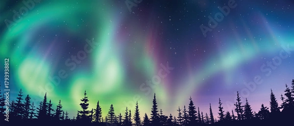 Fototapeta Contour of trees against the background of aurora borealis, winter holiday illustration