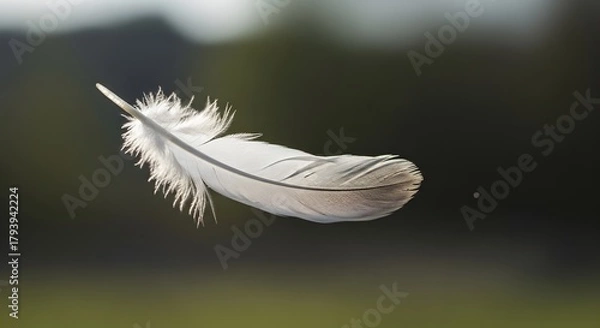 Obraz Close-up of a white feather floating in the air with a blurred natural background, illustrating lightness and delicacy in nature