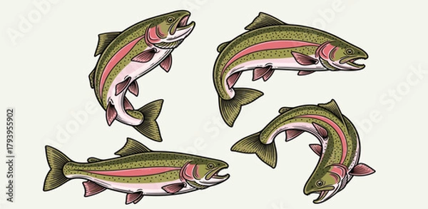 Fototapeta Illustration of four rainbow trout fish swimming and leaping from the water, detailed linework