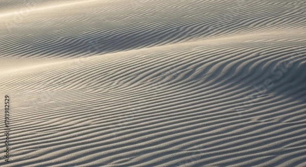 Fototapeta Abstract pattern of sand dunes sculpted by wind, showcasing natural textures and soft light in a desert landscape