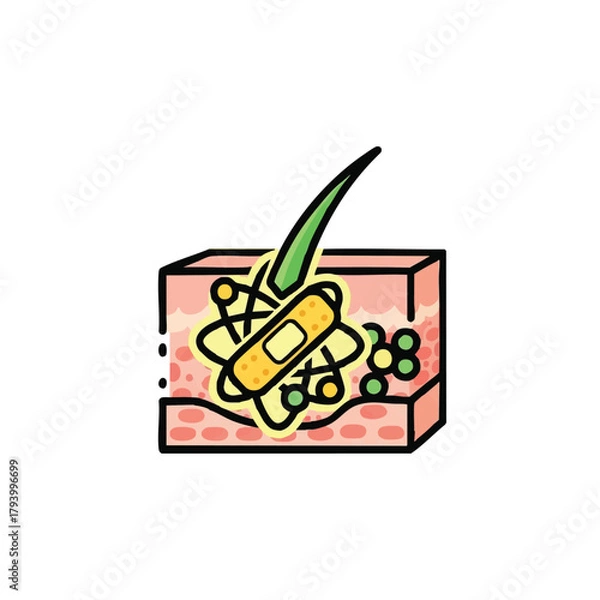 Obraz A bright and simple icon illustrates the process of skin healing, showing a hair follicle, skin cells, and a bandage with healing molecules.