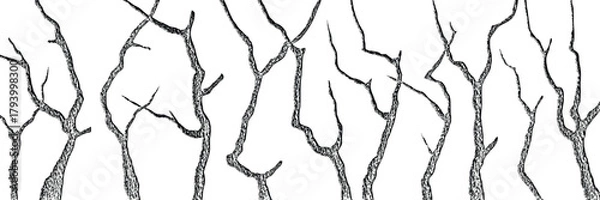 Fototapeta Silhouette of dry trees, tree trunks and branches isolated on white background, hand drawing, natural background, banner