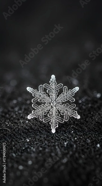 Obraz A close-up photograph of a delicate, intricate snowflake resting on a dark, textured surface, showcasing its symmetrical crystal patterns and icy structure