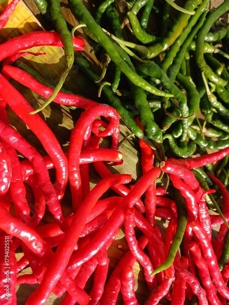 Obraz Drying Red and green chili peppers