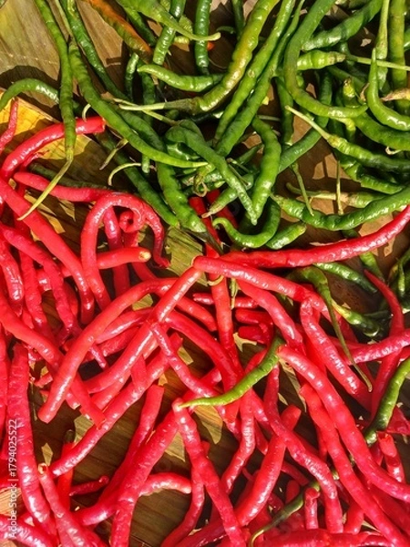 Obraz Drying Red and green chili peppers