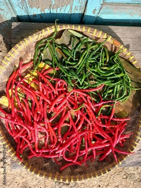 Obraz Drying Red and green chili peppers