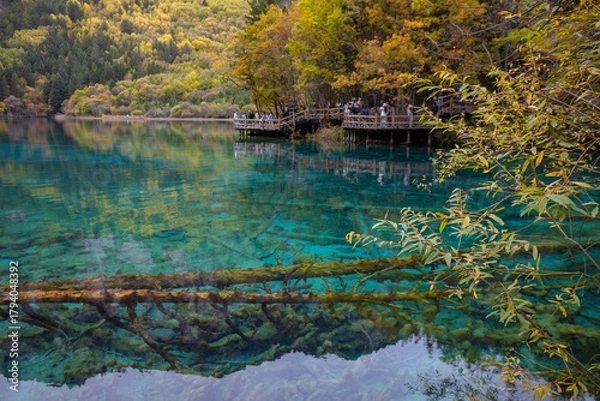 Fototapeta Five Flower Lake in autumn is famous for its beautiful scenery of the lake, mountains and surrounding scenery. It is located in Jiuzhaigou National Park, China