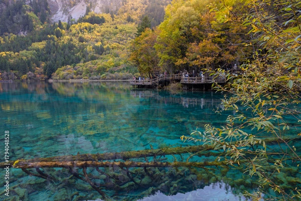 Fototapeta Five Flower Lake in autumn is famous for its beautiful scenery of the lake, mountains and surrounding scenery. It is located in Jiuzhaigou National Park, China