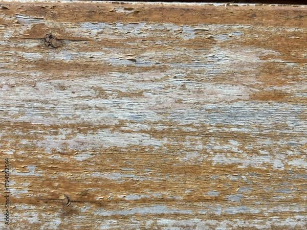 Obraz old wood texture