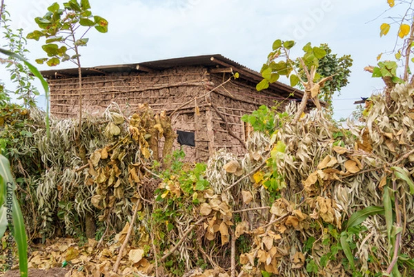 Fototapeta Typical African mud and daub house with one window surrounded by tree branches and foliage