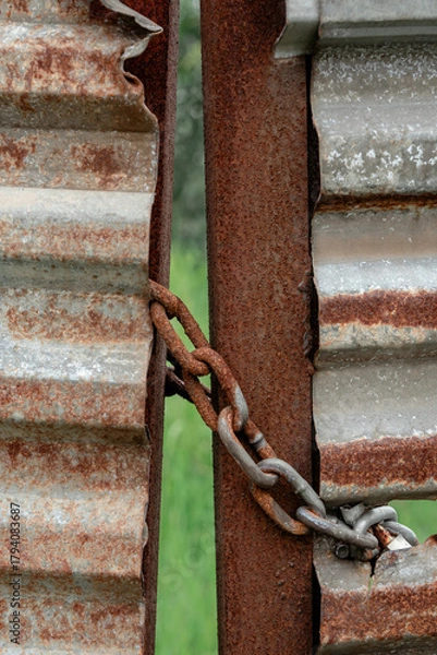 Obraz A rusty chain secures a weathered, corrugated metal gate to a corroded post.