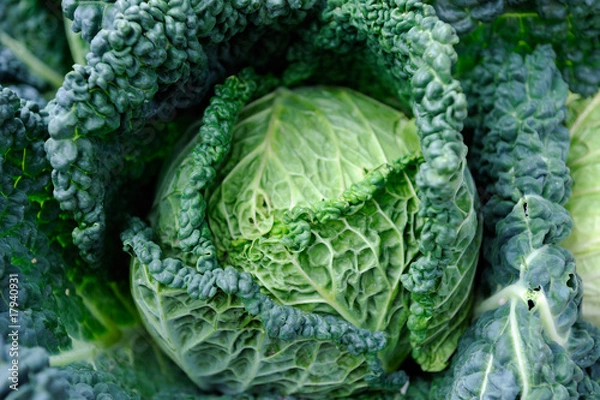 Fototapeta cabbage - vegetable market