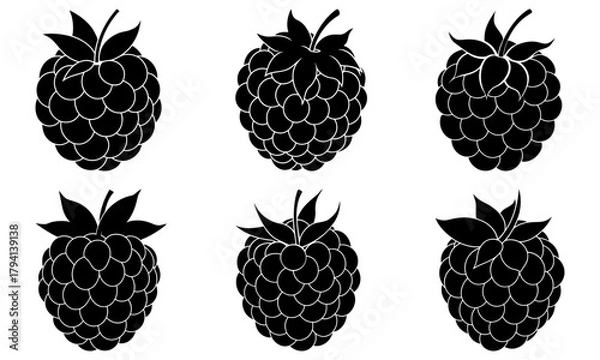 Fototapeta Six black and white raspberry illustrations arranged in two rows on a white background